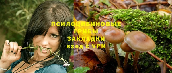 кокс Алексин