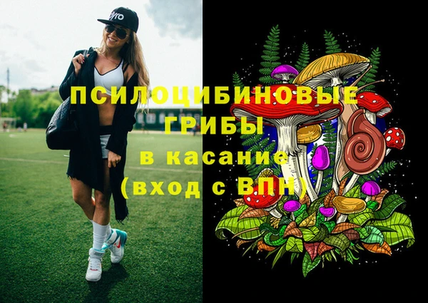 кокс Алексин