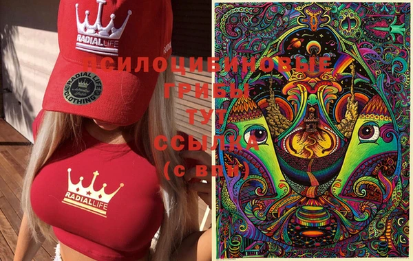 прущая мука Абаза