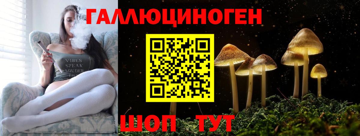 Вологда  Галлюциногенные грибы мицелий  Вход с VPN 
